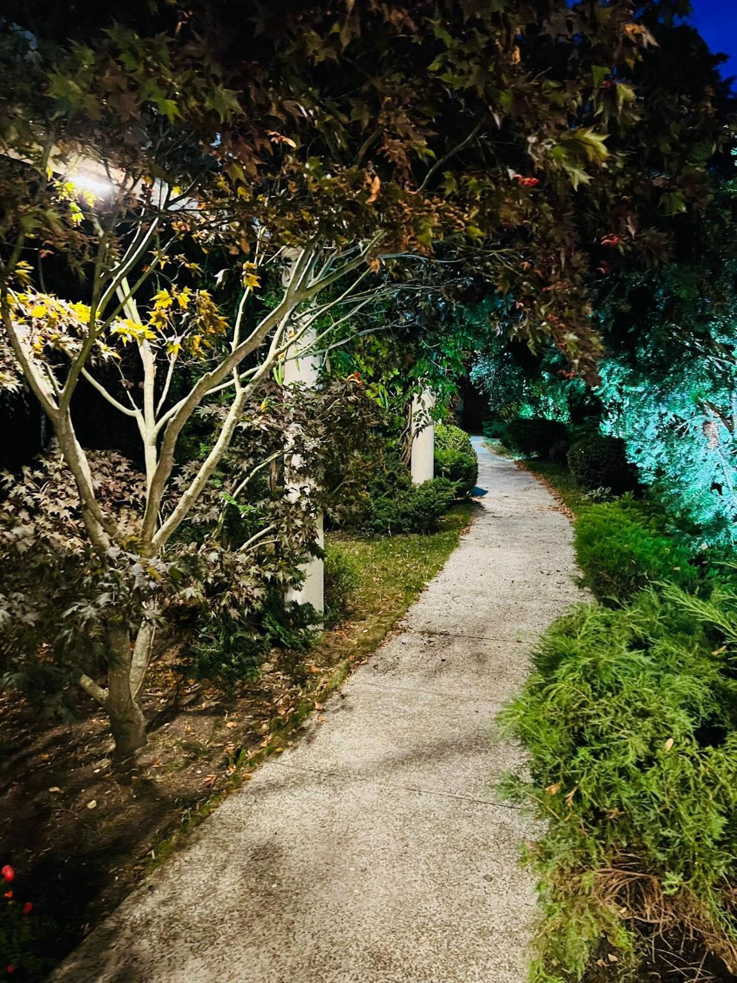 Evie'S Tree House Villa Dragomirna Dış mekan fotoğraf
